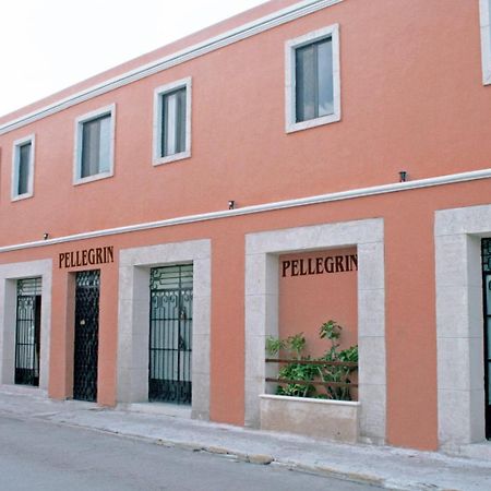 Hotel Casa Pellegrin Mérida Dış mekan fotoğraf