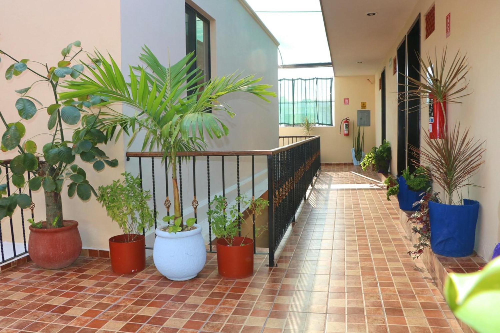 Hotel Casa Pellegrin Mérida Dış mekan fotoğraf