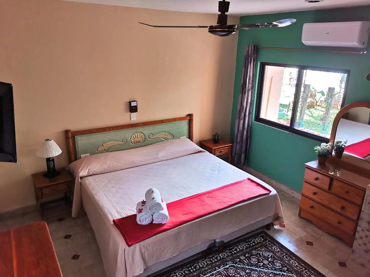 Hotel Casa Pellegrin Mérida Dış mekan fotoğraf