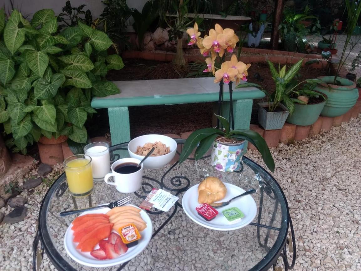Hotel Casa Pellegrin Mérida Dış mekan fotoğraf