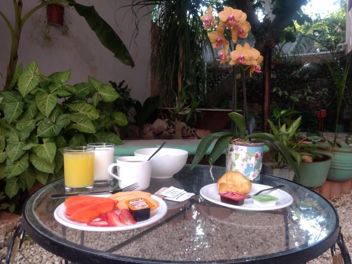 Hotel Casa Pellegrin Mérida Dış mekan fotoğraf