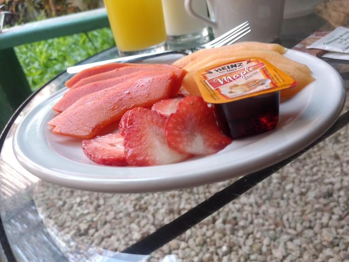 Hotel Casa Pellegrin Mérida Dış mekan fotoğraf